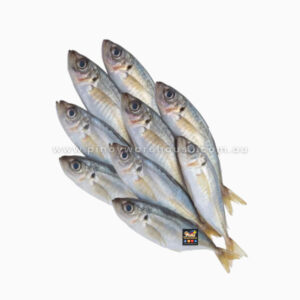 Fresh Frozen Fish Round Scad Galunggong Fish 1 kg * 12
