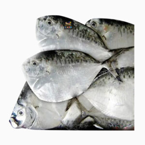 Fresh Frozen Moonfish Bilong Bilong Chaveta Fish 1kg pack * 12